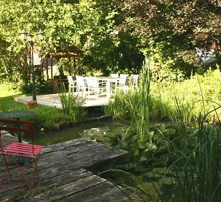 Les D'olloy - Le Roi Cerf Olloy-sur-Viroin