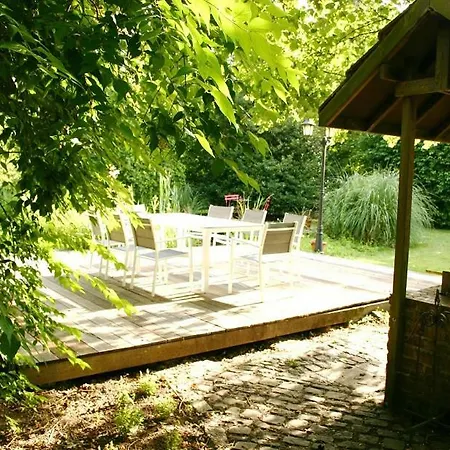 Les D'olloy - Le Roi Cerf Olloy-sur-Viroin