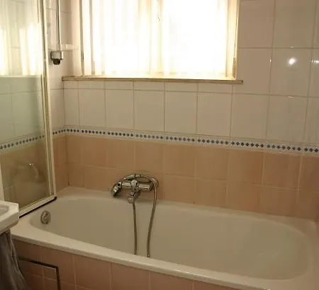 Les D'olloy - Le Roi Cerf