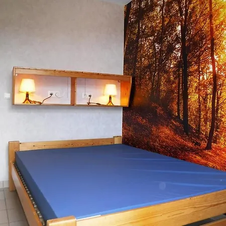 Les D'olloy - Le Roi Cerf *