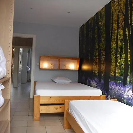 Les D'olloy - Le Roi Cerf